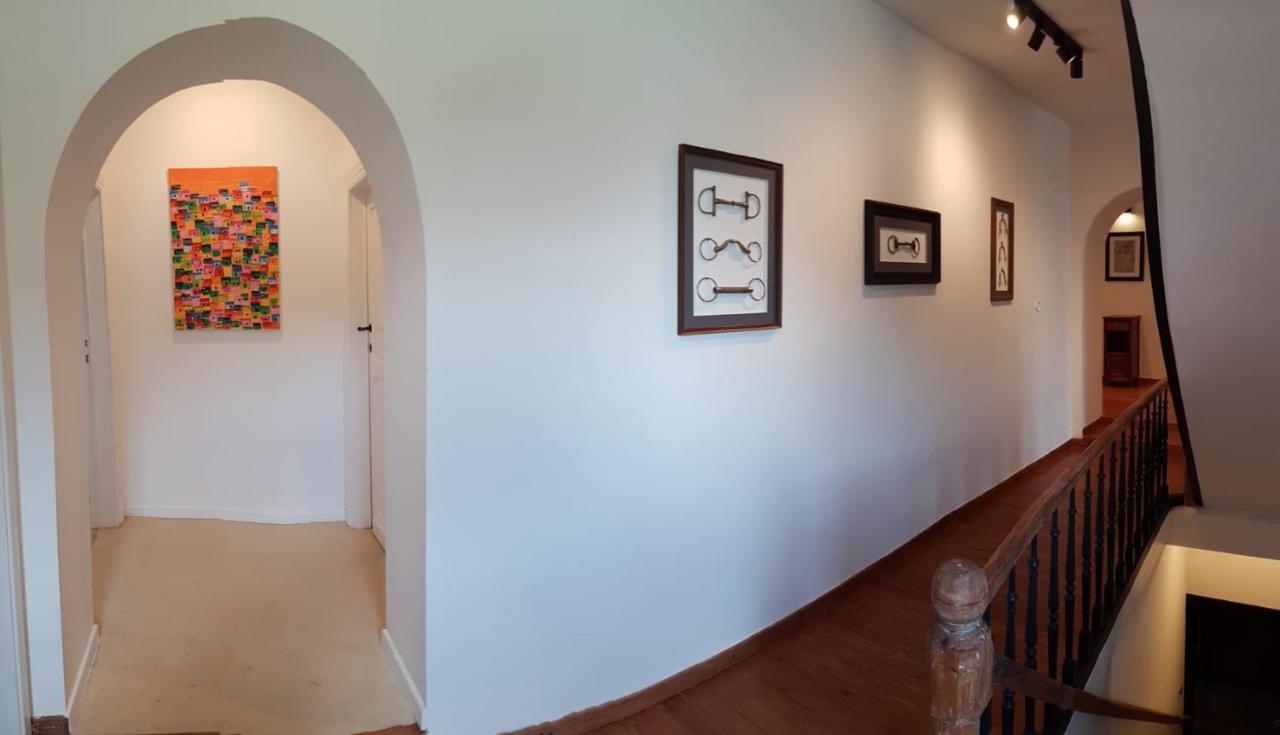 B&B At Haras Petit-Hallet Hannut Ngoại thất bức ảnh